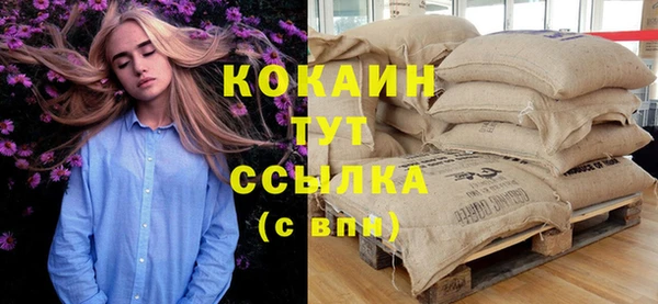 молекула духа Аркадак